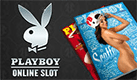 Playboy Bunny online video slot